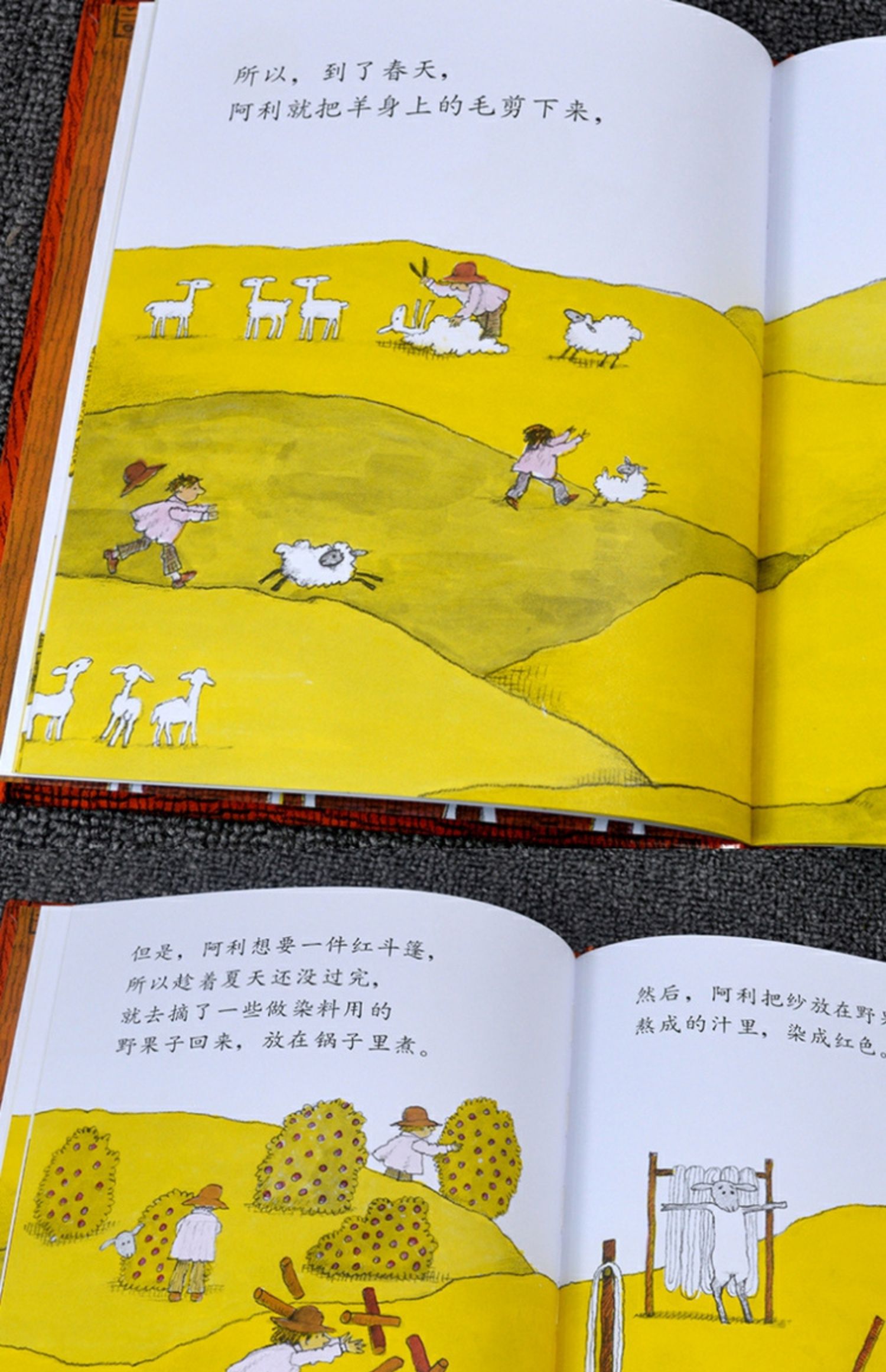 [颜系图书]信谊世界精选绘本阿利的红斗篷原少年儿童出版社图画书幼儿