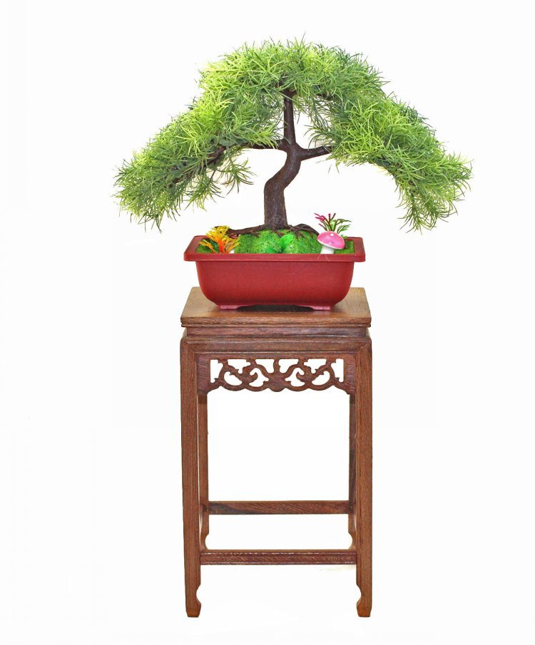 实木花架中式客厅鸡翅木室内小花架鱼缸架花几盆景架办公桌置物架