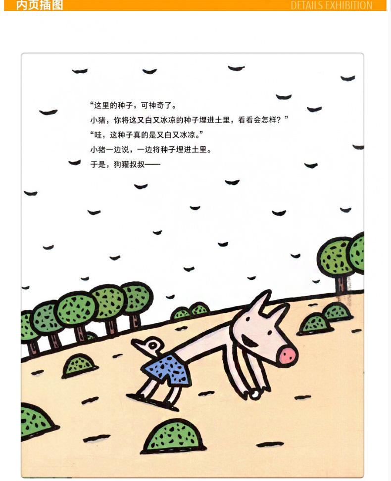 《神奇种子店 宫西达也系列绘本 精装硬皮 罗湖区一年级寒假推荐书目