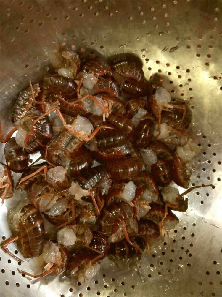 小龙虾生虾尾虾球龙虾尾1斤龙虾仁鲜活活体现剥2020年新货特级小龙虾