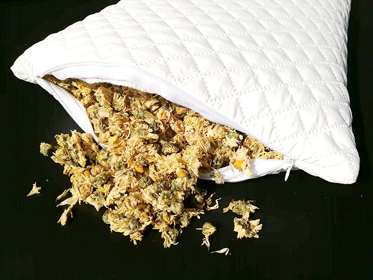 梵浩尚品红菊花枕头菊花枕芯清肝明目枕枕头小孩子成人老人枕头