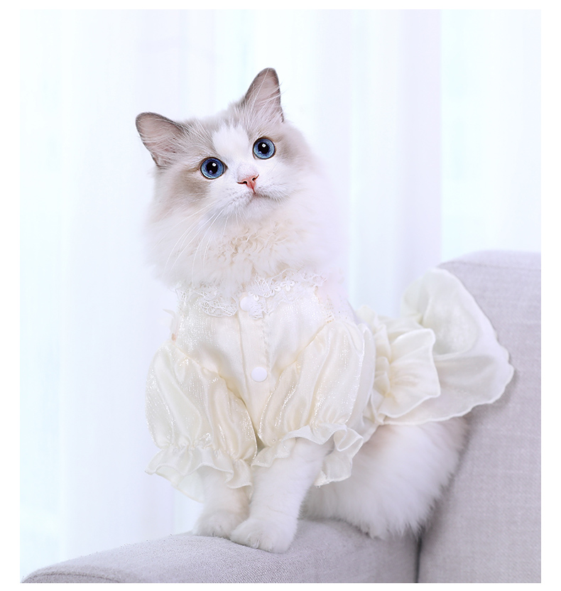 猫咪衣服猫猫薄款防掉毛宠物幼猫布偶猫可爱裙子春装春秋夏季碎花清新