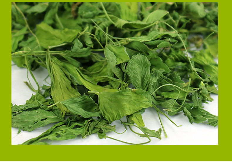 苜蓿草干草烘干全叶子无杆子幼兔荷兰猪豚骨鼠龙猫牧草兔粮饲料苜蓿草