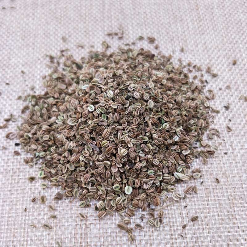 本草寻根男性滋补男性泡酒料泡水喝的茶蛇床子150g