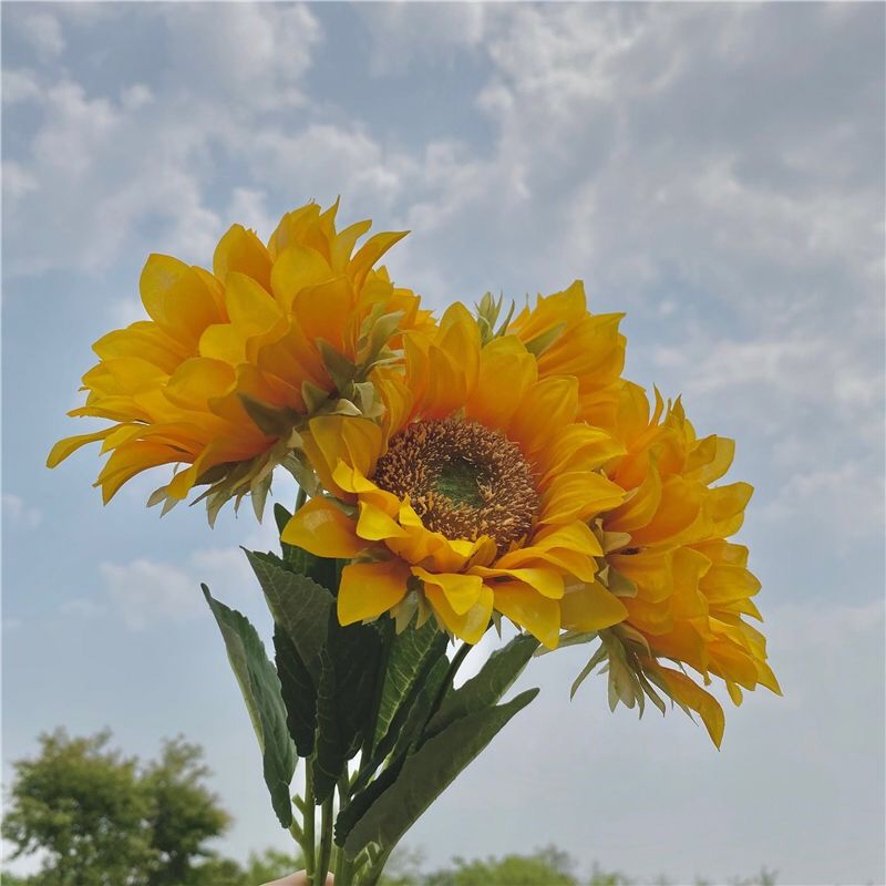 韩国ins风向日葵仿真花太阳花束房间装饰拍照道具手捧花摄影摆件 一只