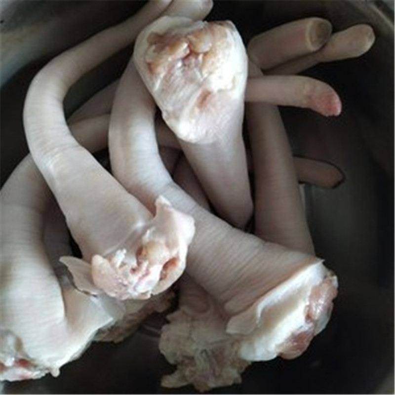 猪尾巴 生鲜 新鲜 生猪长尾土 农家猪肉 农家美食 500g