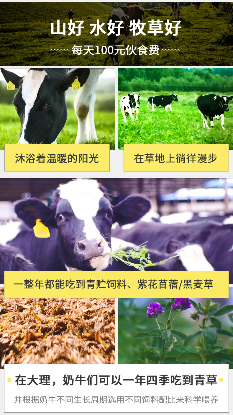 欧亚小幸运酸奶180gl12瓶整箱巴氏杀菌营养健康