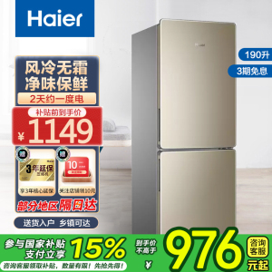 海尔(Haier)190升双门冰箱 风冷无霜 节能家用电冰箱 两门冰箱 家用小冰箱BCD-190WDPT国家补贴
