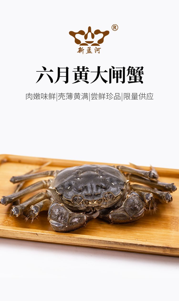 新孟河六月黄鲜活2428两8只礼盒装