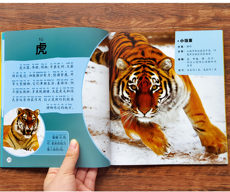 《动物百科全书 动物世界大百科宝宝动物绘本幼儿童图书早教认知图片