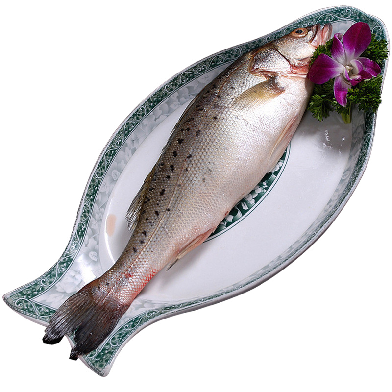 xj海鲈鱼500g鱼新鲜鱼鲜活小海鱼海鲜花鲈鱼可开发票