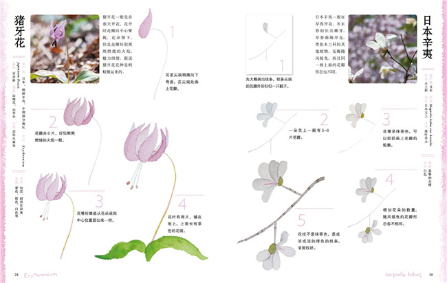 入门级水彩小插画美食 植物小花水彩画教程书籍水彩插画手绘教程上色技巧水彩画教程教材书籍水彩f34ets 佚名著 摘要书评在线阅读 苏宁易购图书 入门级水彩小插画美食 植物小花水彩画教程书籍水彩插画手绘教程上色技巧水彩画教程教材书籍水彩f34ets 佚名著 摘要书评在线阅读 苏宁易购图书