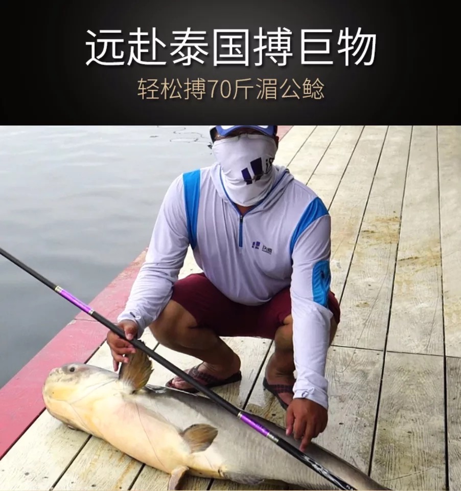 到美(daomei) 奔梦青峰鼎鱼竿手竿超轻超硬19调台钓竿碳素黑坑鲤鱼竿