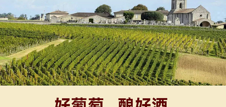 葡萄品種特性750ml單支容量13度酒精度瓶裝包裝規格乾燥,通風,常溫