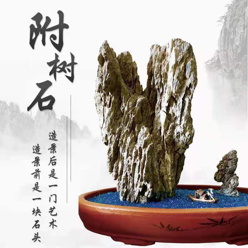 天然附树石鱼缸石造景盆景石鱼池假山石庭院原石奇石摆件景观石头》无