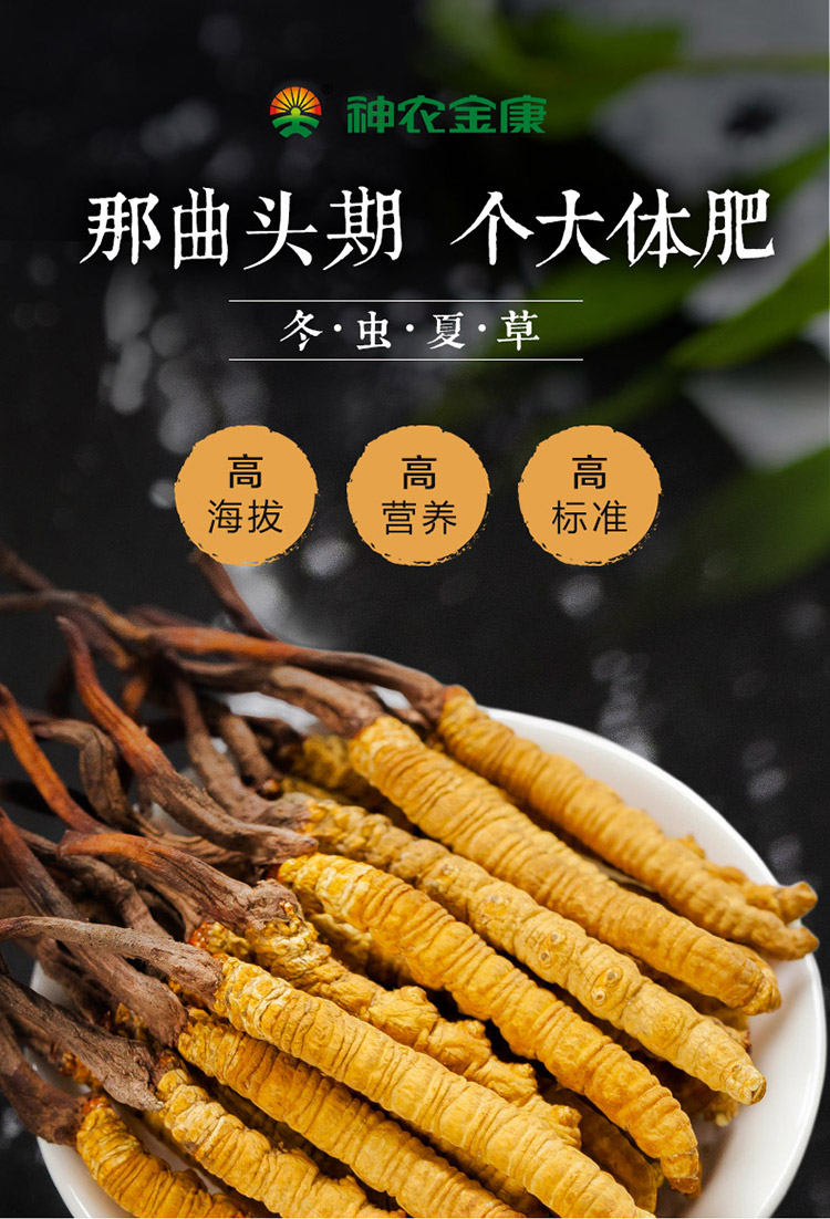 礼盒装3g神农金康冬虫夏草4条g西藏那曲高海拔野生虫草礼盒无瘪草黑草