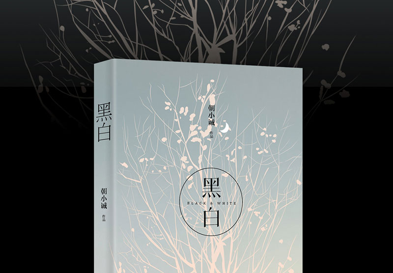 鹏辰正版官方正版黑白书朝小诚小说经典力作全新修订版都市感情青春