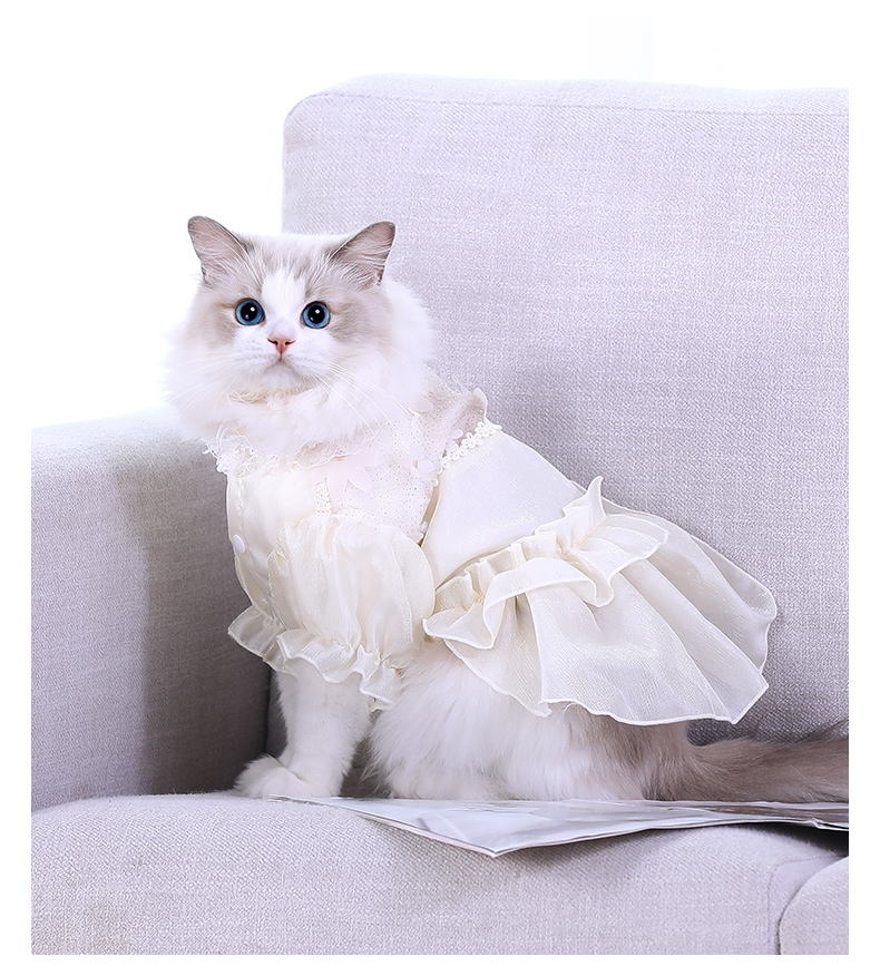 猫咪衣服猫猫薄款防掉毛宠物幼猫布偶猫可爱裙子春装春秋夏季碎花清新