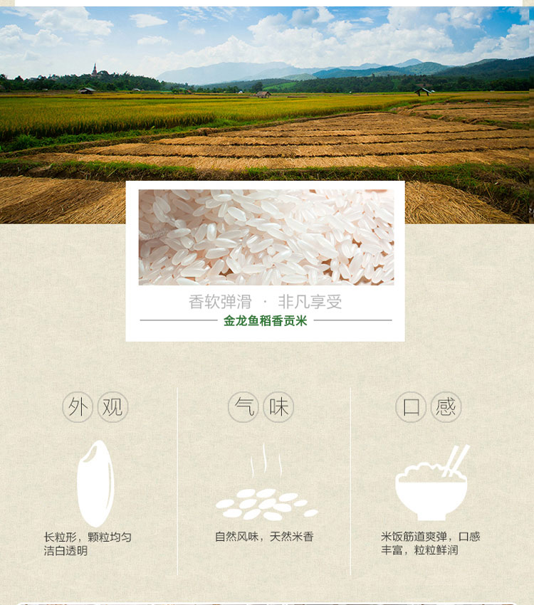 金龙鱼稻香贡米5kg
