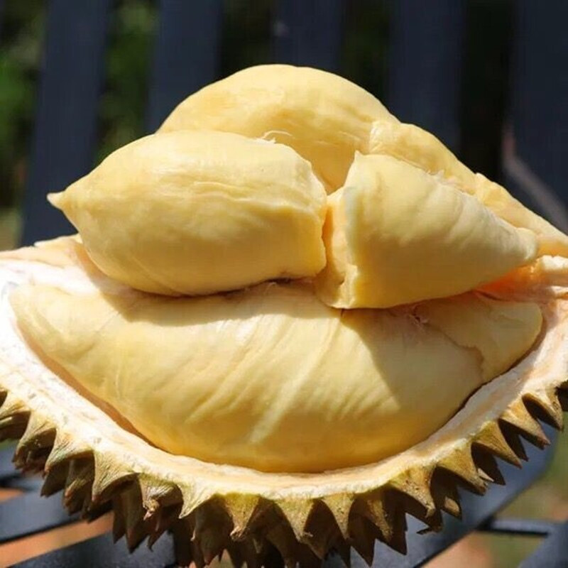 有赠品金枕头榴莲1个45斤新鲜水果