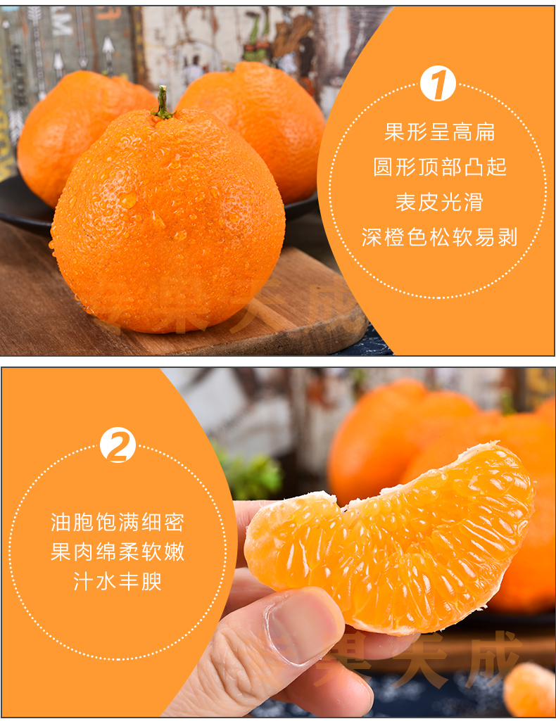 芦柑和耙耙柑一样吗(耙耙柑和芦柑谁甜)