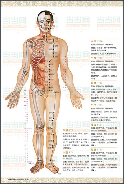 讀品悟人體經絡穴位標準大圖冊一本人體經絡穴位地圖準確定位易學速查