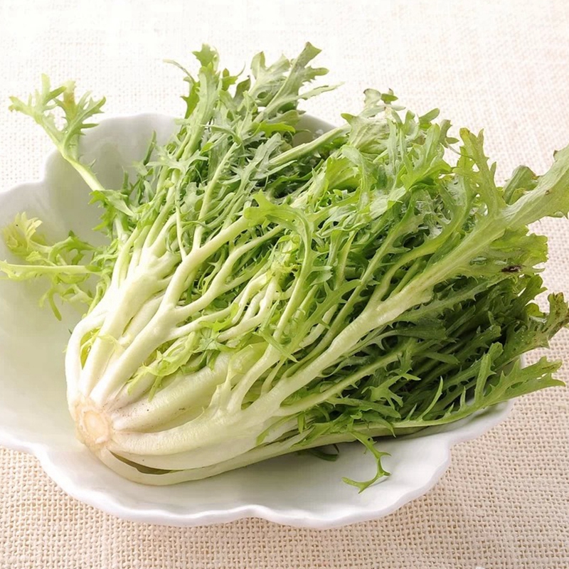 苦叶生菜250g狗牙菜沙拉菜新鲜蔬菜日天可开发票