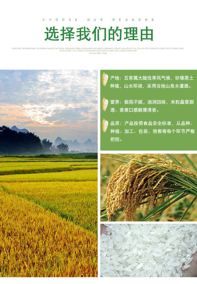 新米东北大米10斤真米砖五常大米稻花香2号大米农家长粒米