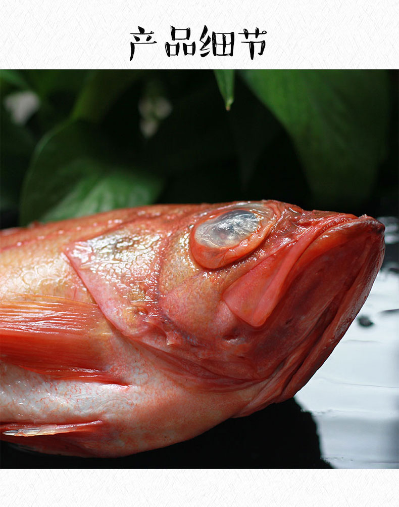 常吃的红色的海鱼图片