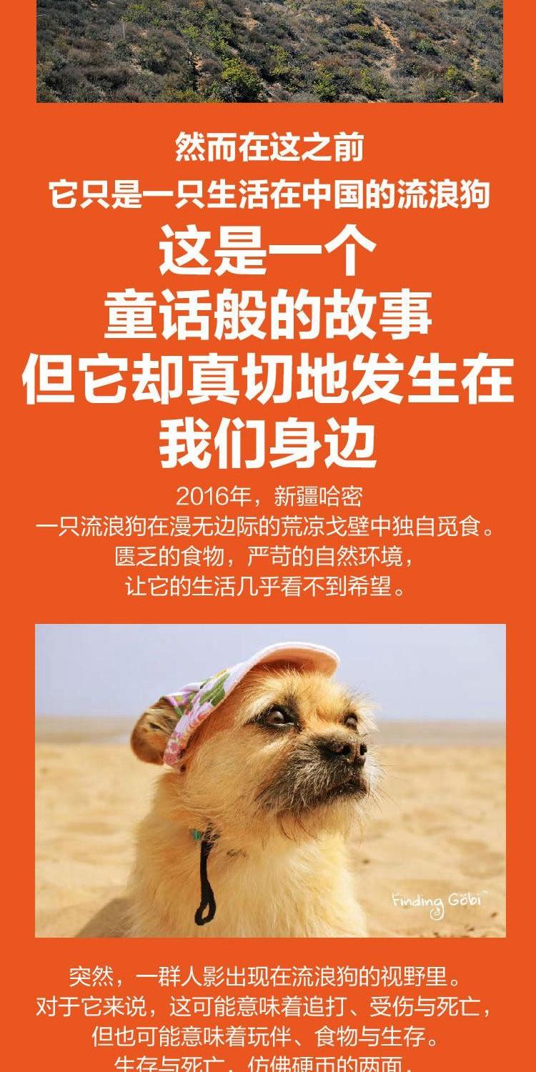 [颜系图书]寻找gobi 一人一狗 寻找戈壁一个感动世界亿万人的故事 249