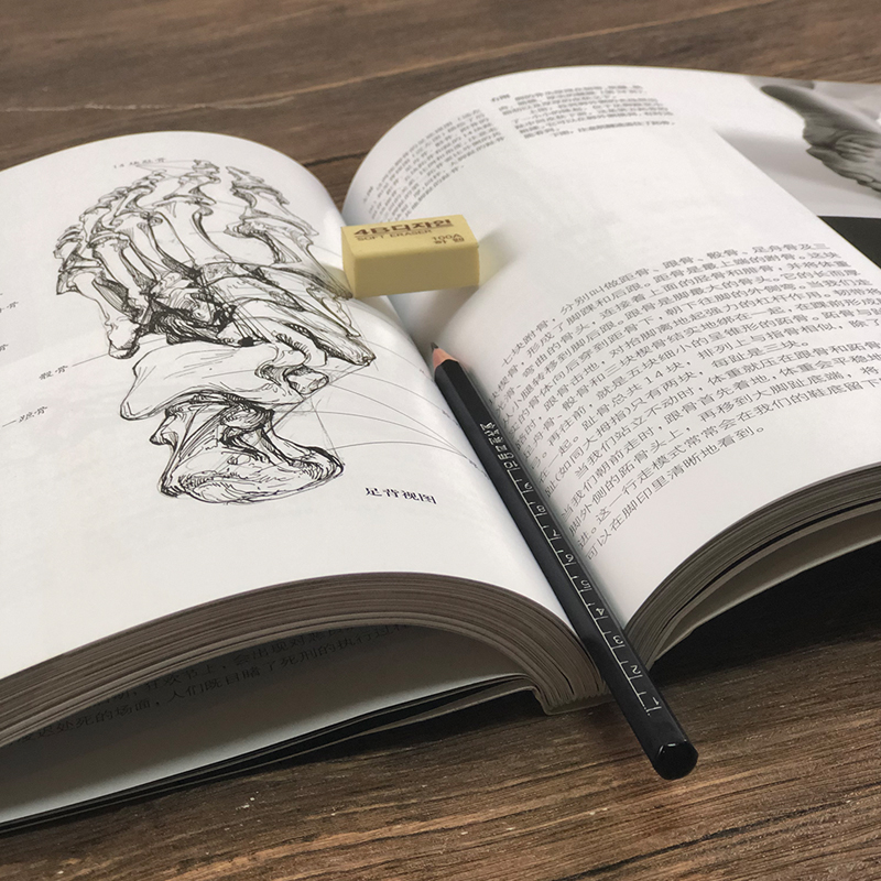 艺用人体解剖名家英国dk授权人体结构绘画教学造型模型素材图集美术