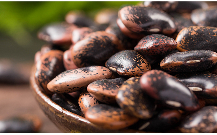 呆呆菇娘 牛眼豆500g 黑芸豆大黑花芸豆大腰豆饭豆紫芸豆大芸豆五谷