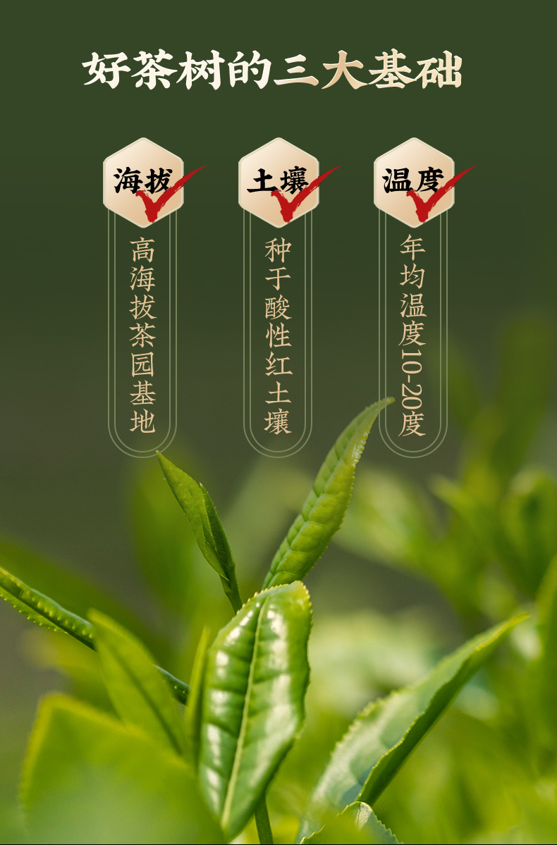 安陆茶叶团购网站_安陆茶楼有哪些 安陆茶叶团购网站_安陆茶楼有哪些