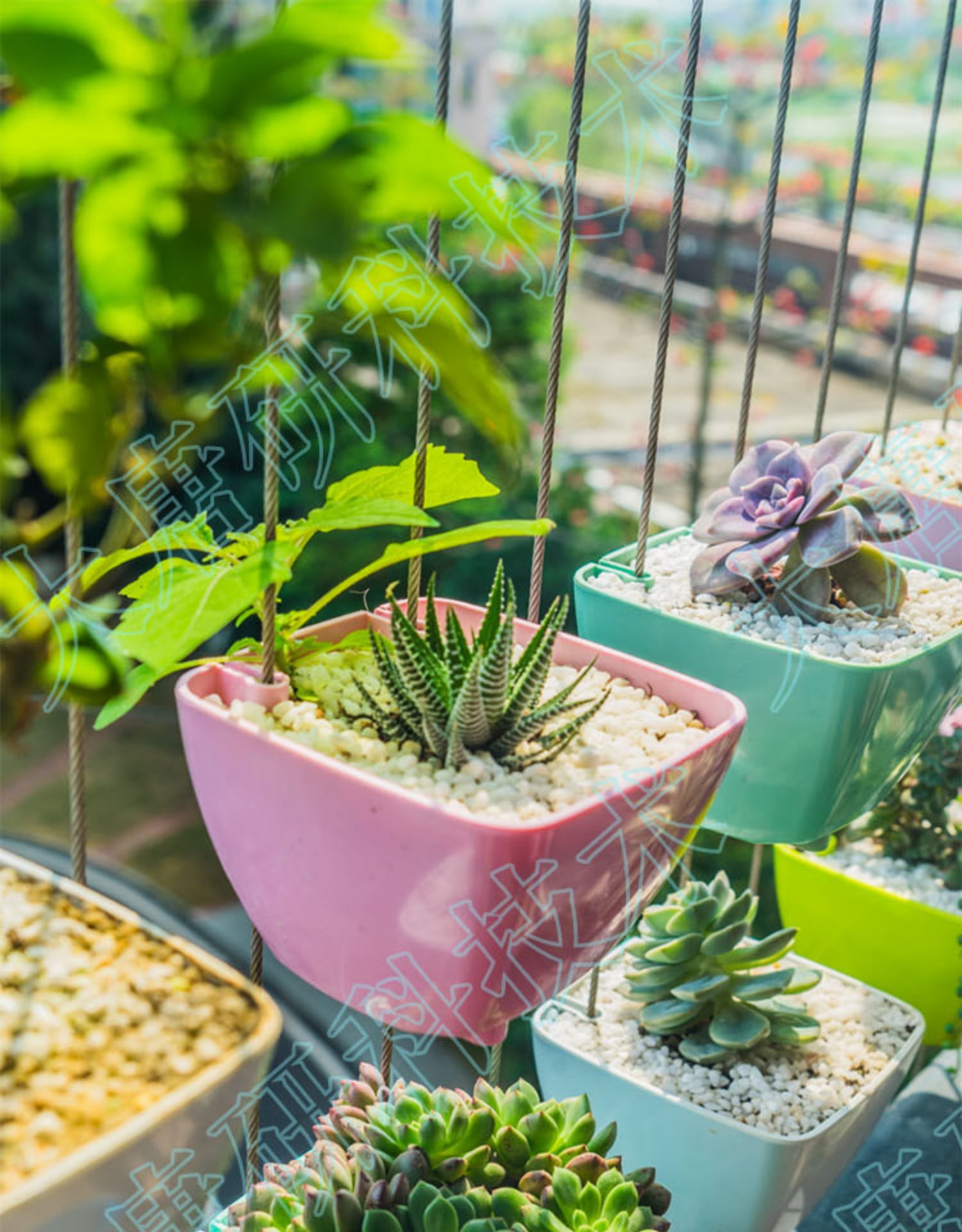 封后隐形防盗网花盆防护阳台种菜悬挂多肉绿植空中花园花架花卉套餐d