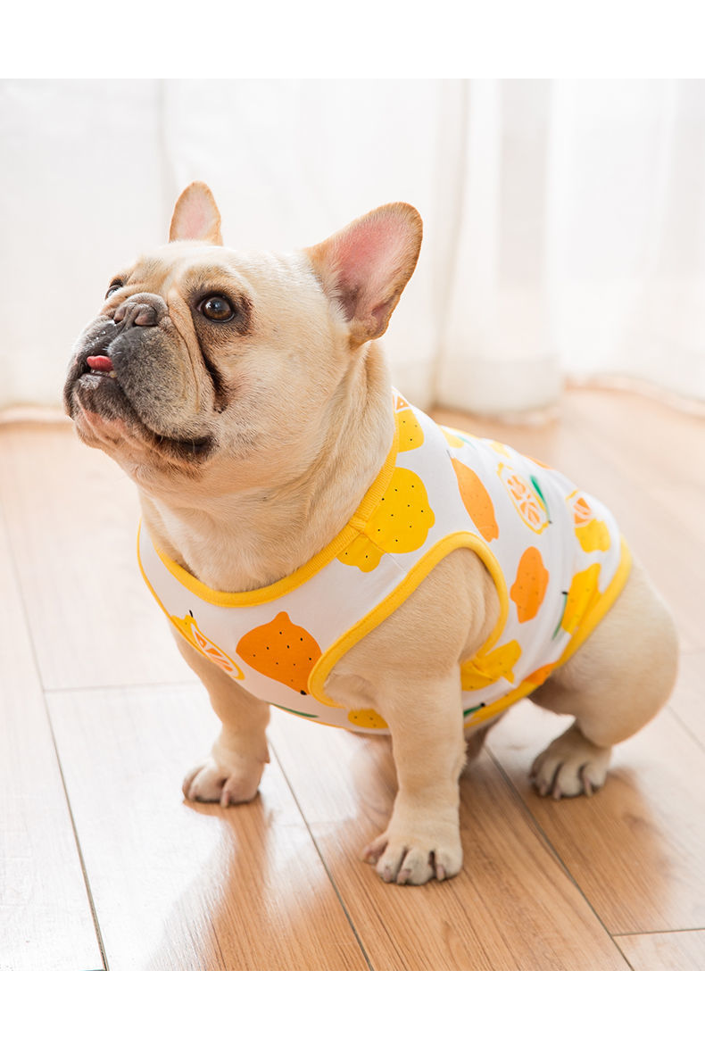 鲜橙印花xxl法斗狗狗背心夏季薄款夏天宠物狗狗衣服小型中型斗牛巴哥