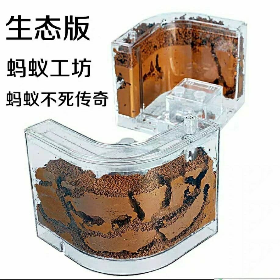 养蚂蚁不死生态工坊 沙堡土巢宠物蚂蚁城堡蚂蚁巢亚养蚂蚁不死 蚂蚁养