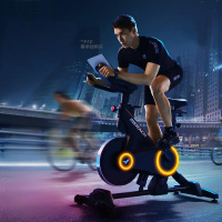 麦瑞克MERACH直立式游戏竞速动感单车电磁控阻力插电驱动承重120kg健身体验卓越健身神器MR-S01