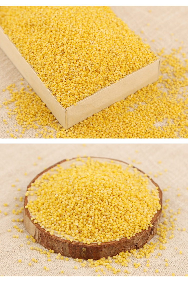 青源禾谷小米380g真空袋装杂粮营养小米粥