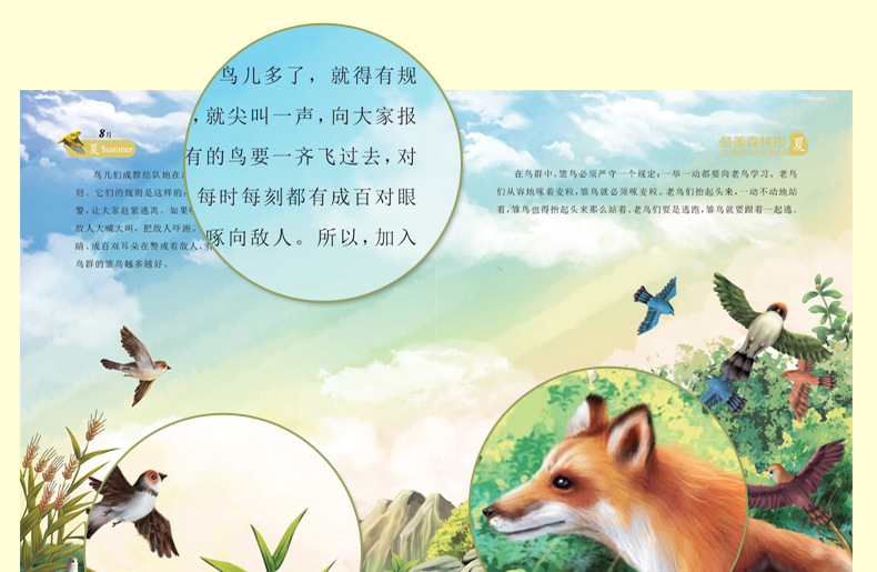 惠典正版森林报故事绘本全套12册612岁动物百科全书小学生一二三年级