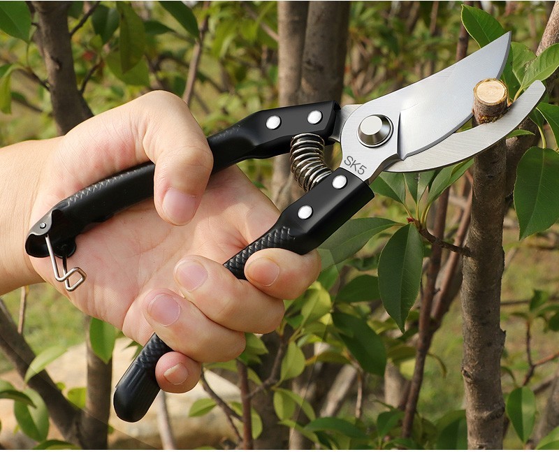 定做 修枝剪修枝果树修剪树枝园艺剪枝剪刀花艺工具修花粗枝园林家用