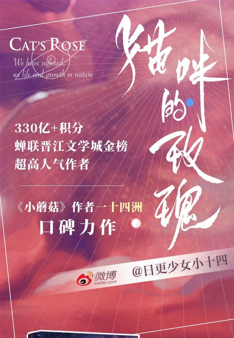 猫咪的玫瑰一十四洲新番外一本完结双男主原耽实体书科幻小说ys45天内