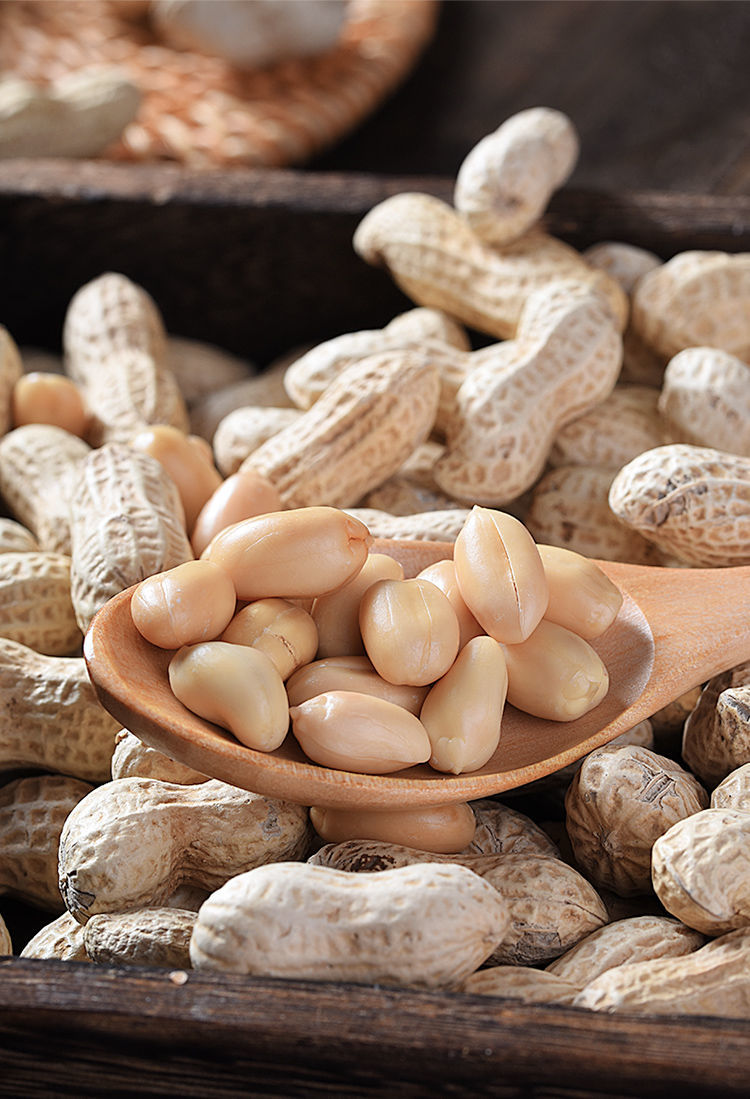 正宗龙岩新花生水煮白晒蒜香五香多种口味花生米带壳零食特产水煮白晒