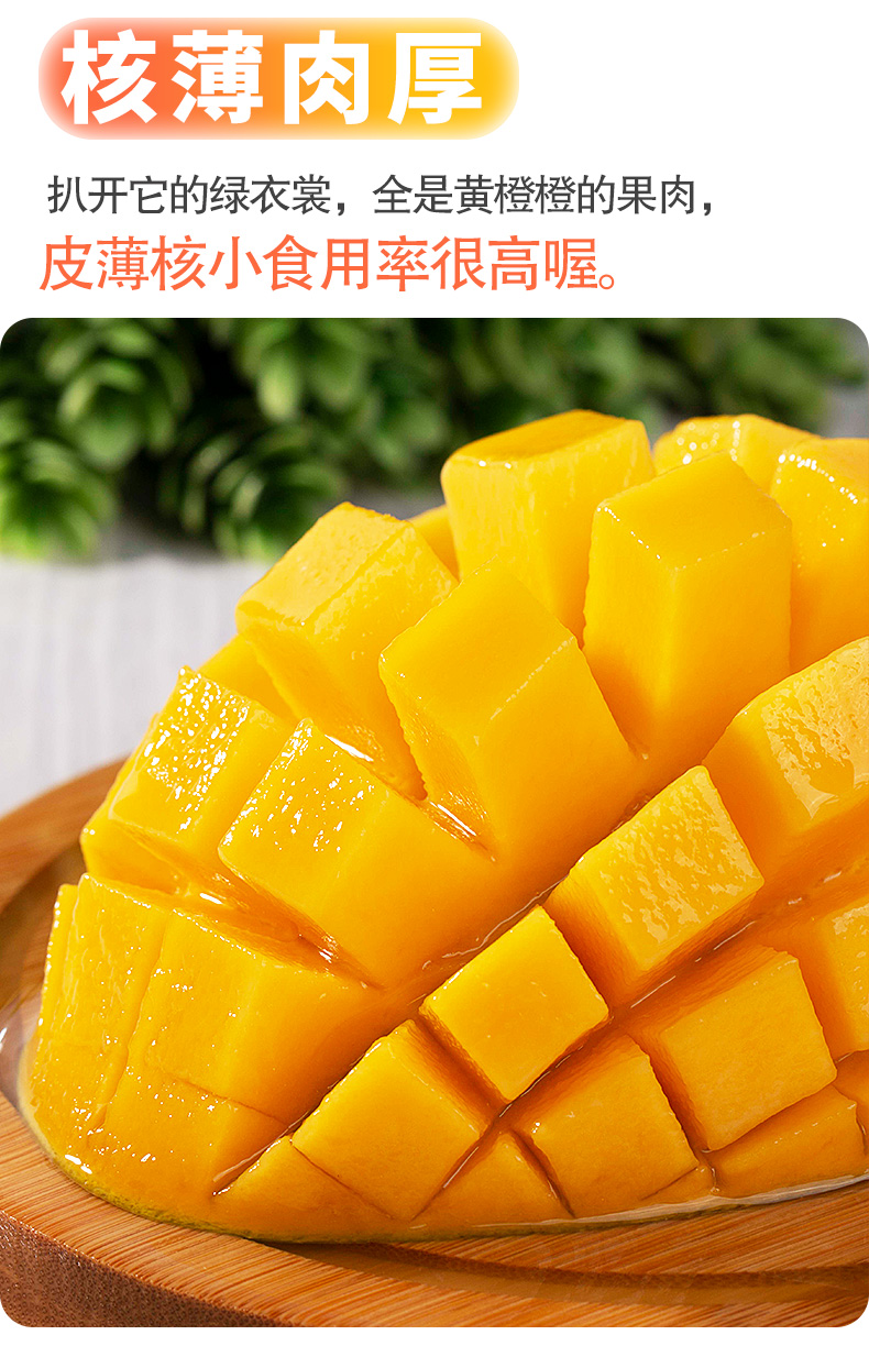 研究生玉芒果新鲜带箱10斤当季现摘热带水果特大应季青皮整箱